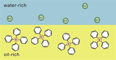Membrane Formation in Liquids by Adding an Antagonistic Salt